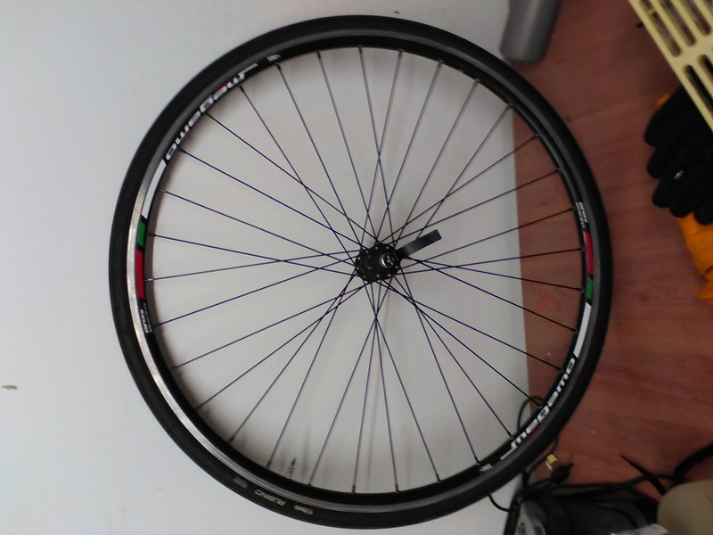 Delantera