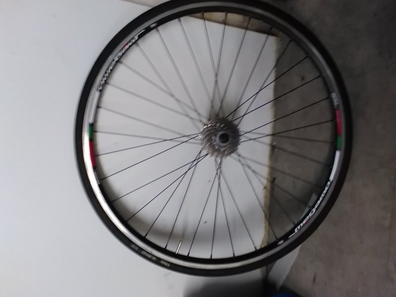 Rueda trasera