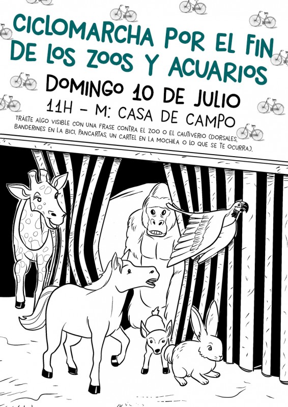 ciclomarcha wassap.jpg