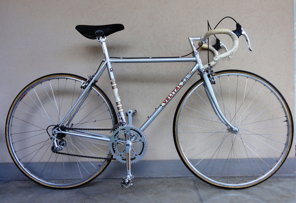 velital olmo.jpg