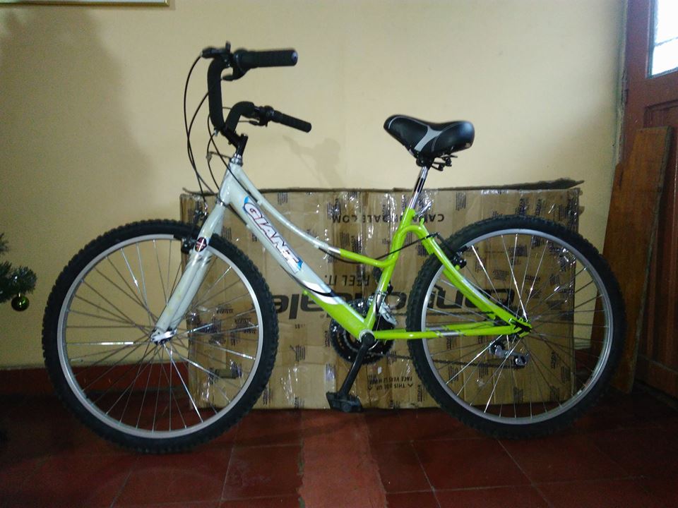 Mi bici