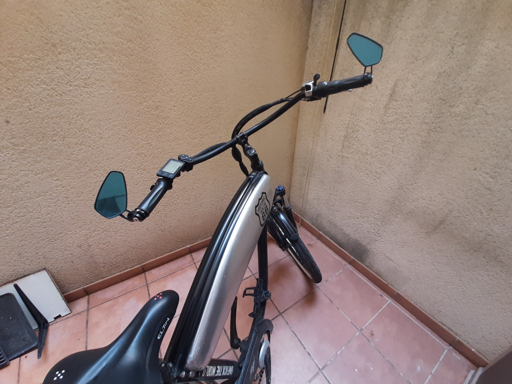 Bici grande mangos.jpg