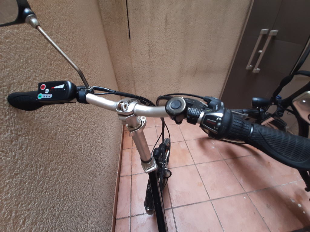 bici pequeña mangos.jpg