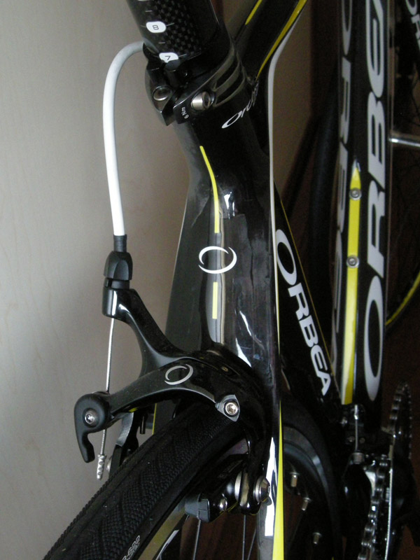DSCN5548.jpg