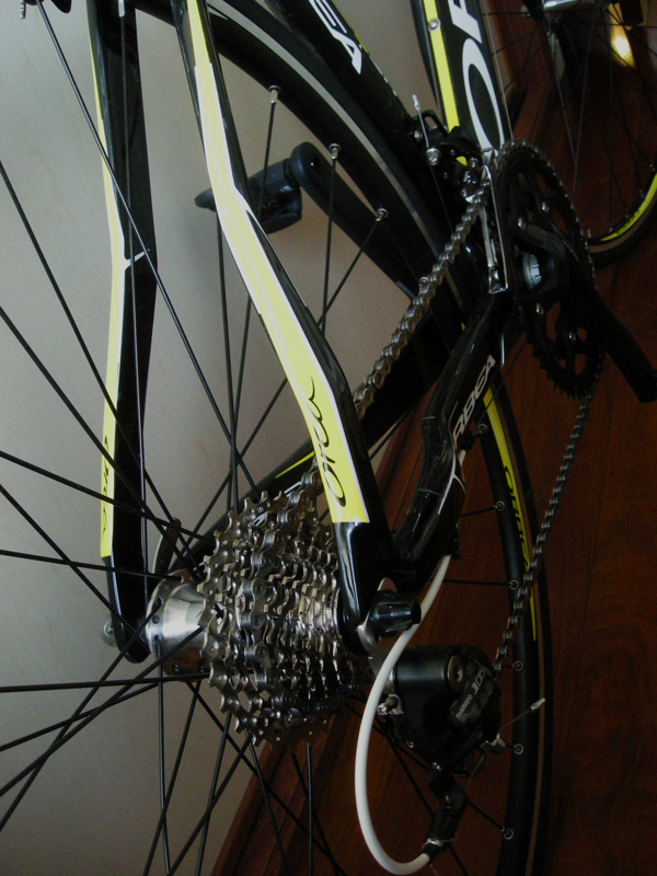 DSCN5550.jpg